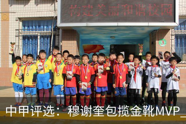 中甲评选：穆谢奎包揽金靴MVP 李金羽最佳教练